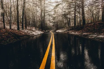 Wet forest road